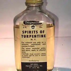 Picture for song 'Turpentine' by artist 'paul gorman and the hypnotist collectors'