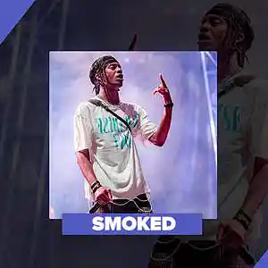 Picture for song '*Playboi Carti* Smoked (BUY 1 GET 1 FREE!)' by artist 'VibeTribeBeatz'