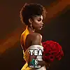 Picture for song '"TEA" Afro Kompa x Zouk Type Beat 2026' by artist 'Wolf KillerBeats'