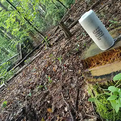 Picture for song '20240606_183856_1Spuhl_HipHopFS' by artist '786 scheint-Al'lahs Bande'