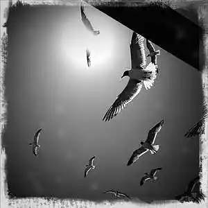 Picture for song 'Rise From It All' by artist 'Eddie Clites'