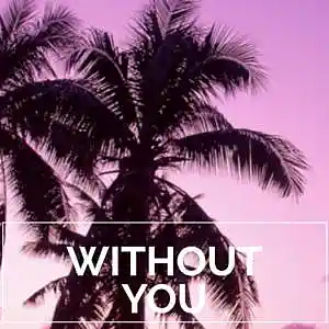 Picture for song 'WITHOUT YOU / PARTYNEXTDOOR Type Beat' by artist 'Le Mak Music'