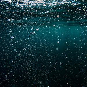 Picture for song 'High Density - Fur Elise Classical Track in D' by artist 'FEARLESS HATEFUL SCHOLAR'