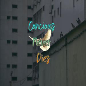 Picture for song 'Concious Never Dies' by artist 'Anac On The Beat'