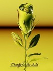 Picture for song 'THANKS' by artist 'BGBEATS'