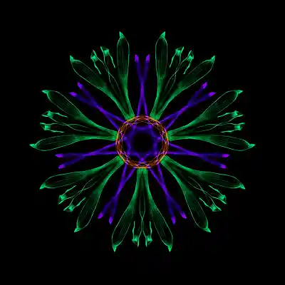 Picture for song 'Stronger Together (redeux)' by artist 'BIG TURK'