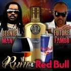 Picture for song '*Fambo/DingDong* Party On Riddim_Prod By K-Wiz' by artist 'Black Roots Records'