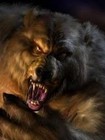Picture for song 'Beast Mode Instrumental' by artist 'Born huSTLers Inc'