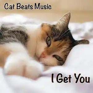Picture for song 'I Get You' by artist 'Cat Beats'