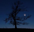 Picture for song '*NEW* Sweet Dreams - $0.99 Demo DL -' by artist 'CHRiS MECCA'