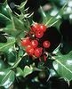 Picture for song 'O Tannenbaum (O Christmas Tree)' by artist 'ChristinesPiano'