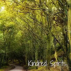 Picture for song 'Kindred Spirit' by artist 'Craig Sutcliffe'