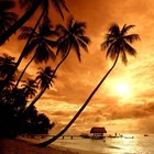 Picture for song 'Floating (***Listen Only***)' by artist 'Deezy Beats Productions'