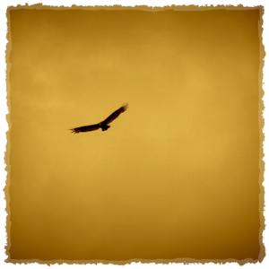 Picture for song 'Heights (Smooth Melodic Type Beat) - Devezin.com' by artist 'Devezin'