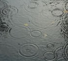 Picture for song 'Rainfall' by artist 'DHW'