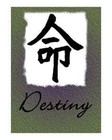 Picture for song 'Destiny' by artist 'DiesmAe'