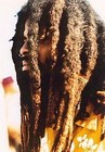 Picture for song 'Rasta Joe.MP3' by artist 'Drake Ortega (Jungle Boi Beats)'