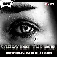 Picture for song 'Emotional Beat w/ hook 2016 x Sorry for the pain' by artist 'Dras On The Beat'