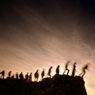 Picture for song 'Never Wise' by artist 'Exebeche'