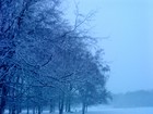 Picture for song 'Snowtears' by artist 'Fading Sunlight'