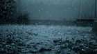 Picture for song 'Rain Drops' by artist 'Flying Penguin'