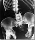 Picture for song 'Cpt Crunk - Broken Spine 192.mp3' by artist 'Fubaro'