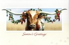 Picture for song 'Lonnie The Texas Longhorn' by artist 'Gary D Gray'
