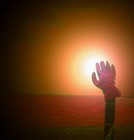 Picture for song 'After the Sun' by artist 'Graham's Cat'