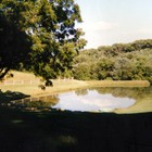 Picture for song 'Should Be - Could Be' by artist 'hank49'