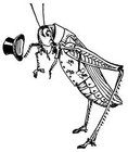Picture for song 'Grasshopper' by artist 'Ian Bullman'