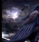 Picture for song 'Flying High' by artist 'Jeff Tadashi'