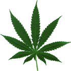 Picture for song '**SOLD OUT** Herbal Meditation' by artist 'JIDVI'