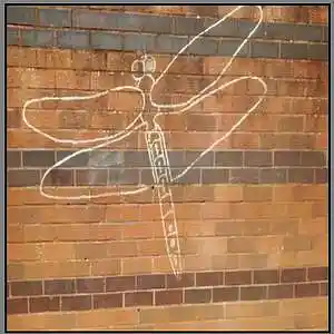 Picture for song 'Dragonfly' by artist 'Keefykeyz'