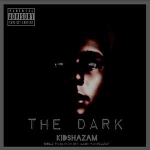 Picture for song 'The Dark' by artist 'KidShazam'