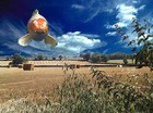 Picture for song 'Farm Livin'' by artist 'Marc Halikas'