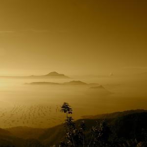 Picture for song 'Golden Lagoon' by artist 'Komar NeJanko'