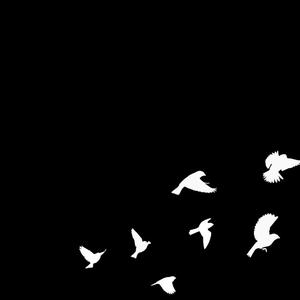 Picture for song 'heaven' by artist 'InZaNeBeats'