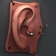 Picture for song 'Can You Hear Me Now? (FendrGuitPlayr)' by artist 'Michael Duran'