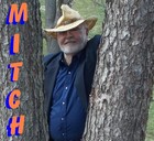 Picture for song 'Till I Find You.mp3' by artist 'Mitch Wayne'