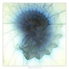 Picture for song 'The S-Complex' by artist 'Nocturnus'