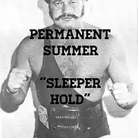 Picture for song 'Sleeper Hold' by artist 'Permanent Summer'