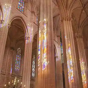 Picture for song 'Shells' by artist 'prod. enzo'