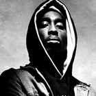Picture for song 'Blunt Dryed Up (STREET TYPE)' by artist 'PURPS BEATS'