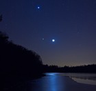 Picture for song 'Venus' by artist 'ranxid'