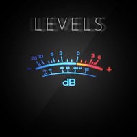 Picture for song 'Levels' by artist 'Rolling Tartana Beatz'