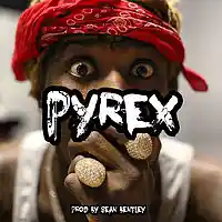 Picture for song '*Pyrex* Hard Trap Beat (Free DL)' by artist 'Sean Bentley'
