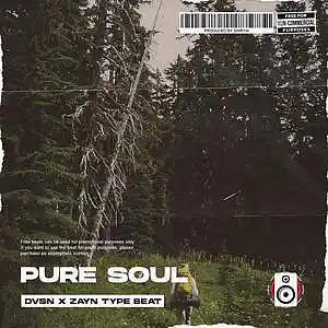 Picture for song 'Pure Soul (Buy 1 Get 2 Free)' by artist 'Shiryai'