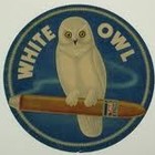 Picture for song 'P$ikwable- Wo'd Out' by artist 'Siege A'