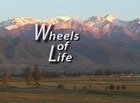 Picture for song 'WHEELS OF LIFE' by artist 'Stan Loh'