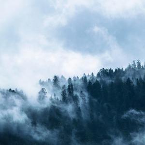 Picture for song 'frost' by artist 'TENMYBLACKSLIDE'